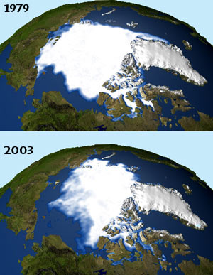 A composite from NASA showing how the ice is receding in the Arctic from 1979 to 2003.